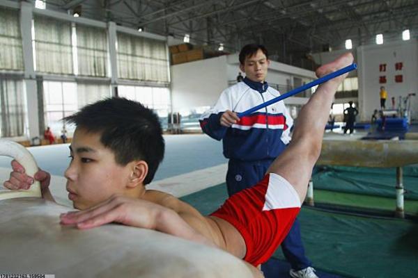 全球十大商业价值最高的体育项目(图1)